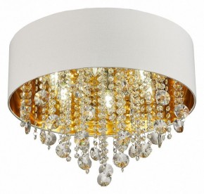 Накладной светильник ST-Luce Lacchia SL1350.502.06 в Сургуте - surgut.mebel24.online | фото 3