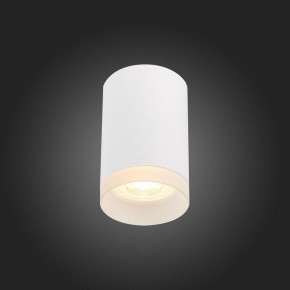 Накладной светильник ST-Luce ST100 ST100.502.01 в Сургуте - surgut.mebel24.online | фото 4