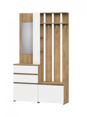 НЕКСТ 1 Вешалка с зеркалом + Шкаф 2-х ств. с ящиками в Сургуте - surgut.mebel24.online | фото 4