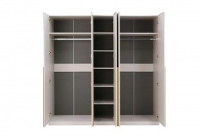 НИКОЛЬ 25 Шкаф 5-ти створчатый в Сургуте - surgut.mebel24.online | фото 3