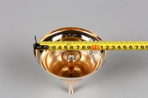 Подвесная люстра Aployt Daniele APL.701.03.12 в Сургуте - surgut.mebel24.online | фото 6