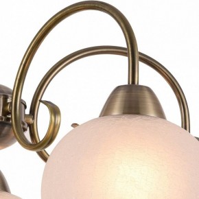 Подвесная люстра Arte Lamp Margo A9317LM-5AB в Сургуте - surgut.mebel24.online | фото 3