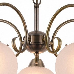 Подвесная люстра Arte Lamp Margo A9317LM-5AB в Сургуте - surgut.mebel24.online | фото 4
