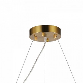 Подвесная люстра Favourite Magnitudo 2206-12P в Сургуте - surgut.mebel24.online | фото 7