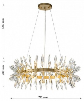 Подвесная люстра Favourite Rays 4058-14P в Сургуте - surgut.mebel24.online | фото 7