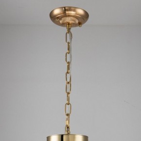 Подвесная люстра Favourite Rocca 2689-6P в Сургуте - surgut.mebel24.online | фото 4