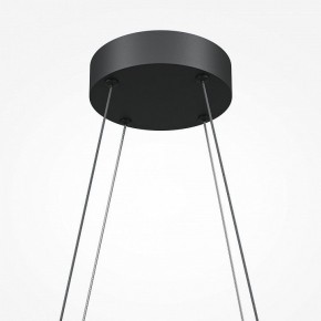 Подвесная люстра Maytoni Halo MOD244PL-L50BK в Сургуте - surgut.mebel24.online | фото 5