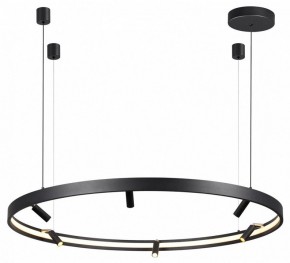 Подвесная люстра Odeon Light Fonda 4317/93L в Сургуте - surgut.mebel24.online | фото 4