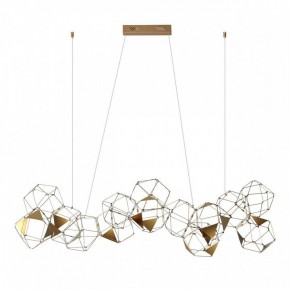 Подвесная люстра Odeon Light Trellis 5086/64L в Сургуте - surgut.mebel24.online | фото 4