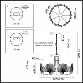 Подвесная люстра Odeon Light Ventaglio 4870/7 в Сургуте - surgut.mebel24.online | фото 6