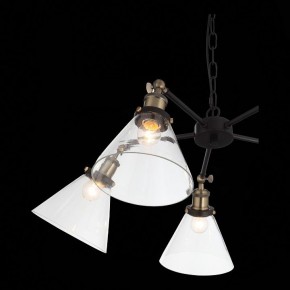Подвесная люстра ST-Luce Evoluto SL237.413.05 в Сургуте - surgut.mebel24.online | фото 7