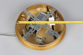Подвесной светильник Aployt Janina APL.018.13.60 в Сургуте - surgut.mebel24.online | фото 11