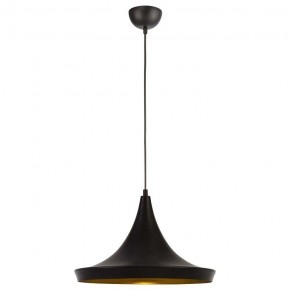 Подвесной светильник Arte Lamp Capello A3406SP-1BK в Сургуте - surgut.mebel24.online | фото 2