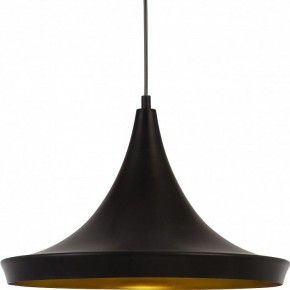 Подвесной светильник Arte Lamp Capello A3406SP-1BK в Сургуте - surgut.mebel24.online | фото 3