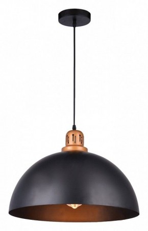 Подвесной светильник Arte Lamp Eurica A4249SP-1BK в Сургуте - surgut.mebel24.online | фото 2