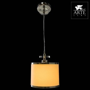 Подвесной светильник Arte Lamp Furore A3990SP-1CC в Сургуте - surgut.mebel24.online | фото 3