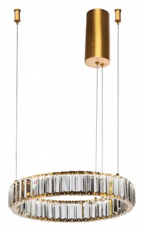 Подвесной светильник Divinare Renata 1135/17 SP-25 в Сургуте - surgut.mebel24.online | фото 2