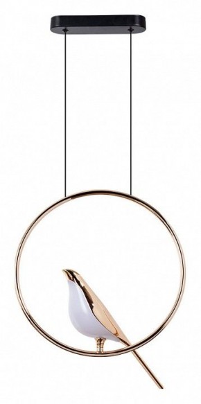 Подвесной светильник Divinare Summer 1188/01 SP-9 в Сургуте - surgut.mebel24.online | фото 2
