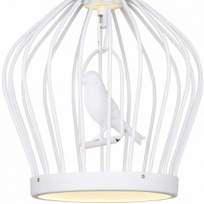 Подвесной светильник Favourite Chick 1931-2P в Сургуте - surgut.mebel24.online | фото 3