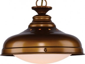 Подвесной светильник Favourite Laterne 1330-1P1 в Сургуте - surgut.mebel24.online | фото 3