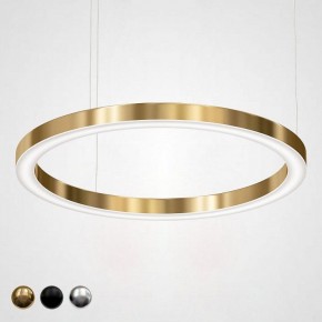 Подвесной светильник Imperiumloft Light Ring Horizontal 40.1454-100 в Сургуте - surgut.mebel24.online | фото