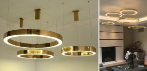 Подвесной светильник Imperiumloft Light Ring Horizontal 40.1454-80 в Сургуте - surgut.mebel24.online | фото 2