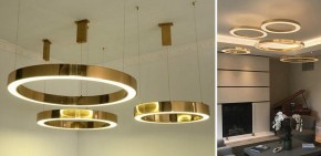 Подвесной светильник Imperiumloft Light Ring Horizontal 40.1454-80 в Сургуте - surgut.mebel24.online | фото 3