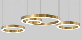 Подвесной светильник Imperiumloft Light Ring Horizontal 40.1454-80 в Сургуте - surgut.mebel24.online | фото 4