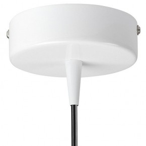 Подвесной светильник Lightstar Conicita 804110 в Сургуте - surgut.mebel24.online | фото 6