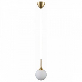 Подвесной светильник Lightstar Globo 813011 в Сургуте - surgut.mebel24.online | фото 2