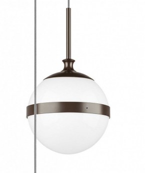 Подвесной светильник Lightstar Globo 813137 в Сургуте - surgut.mebel24.online | фото 5
