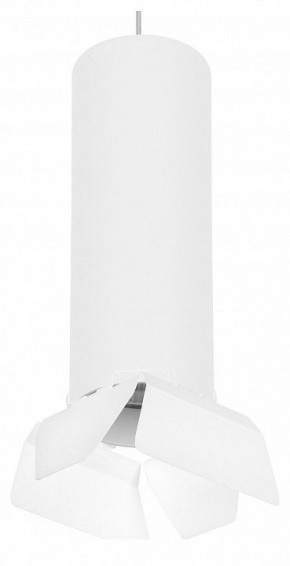 Подвесной светильник Lightstar Rullo RP6496486 в Сургуте - surgut.mebel24.online | фото 1