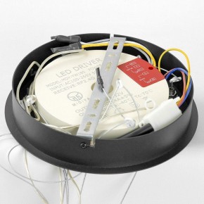 Подвесной светильник Lussole Hale LSP-7380 в Сургуте - surgut.mebel24.online | фото 6