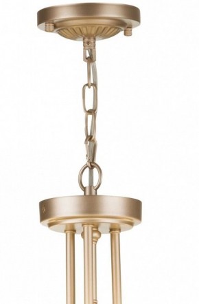 Подвесной светильник Maytoni Roma ARM006PL-06G в Сургуте - surgut.mebel24.online | фото 5