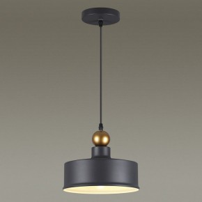 Подвесной светильник Odeon Light Bolli 4088/1 в Сургуте - surgut.mebel24.online | фото 4