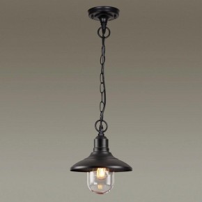 Подвесной светильник Odeon Light Campa 4965/1 в Сургуте - surgut.mebel24.online | фото 2