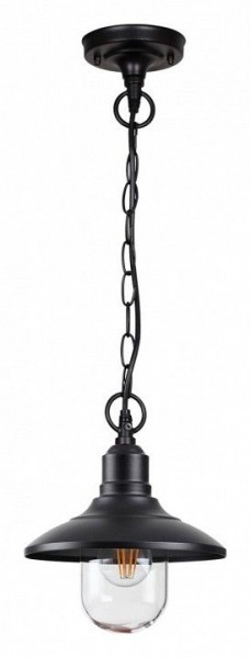 Подвесной светильник Odeon Light Campa 4965/1 в Сургуте - surgut.mebel24.online | фото 3