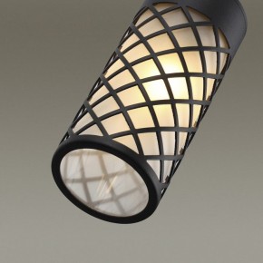 Подвесной светильник Odeon Light Dunes 4834/1 в Сургуте - surgut.mebel24.online | фото 6