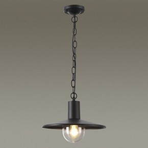 Подвесной светильник Odeon Light Furcadia 4833/1 в Сургуте - surgut.mebel24.online | фото 3