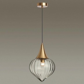 Подвесной светильник Odeon Light Kesta 4950/1 в Сургуте - surgut.mebel24.online | фото 2