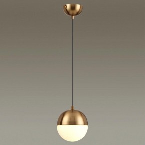 Подвесной светильник Odeon Light Pinga 4960/1 в Сургуте - surgut.mebel24.online | фото 2