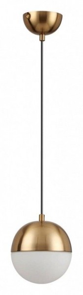Подвесной светильник Odeon Light Pinga 4960/1 в Сургуте - surgut.mebel24.online | фото 3