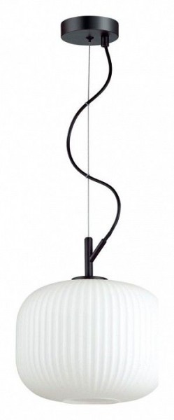 Подвесной светильник Odeon Light Roofi 4753/1 в Сургуте - surgut.mebel24.online | фото 2
