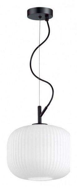 Подвесной светильник Odeon Light Roofi 4753/1 в Сургуте - surgut.mebel24.online | фото 3
