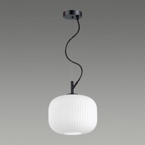 Подвесной светильник Odeon Light Roofi 4753/1 в Сургуте - surgut.mebel24.online | фото 4