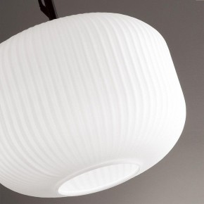 Подвесной светильник Odeon Light Roofi 4753/1 в Сургуте - surgut.mebel24.online | фото 7