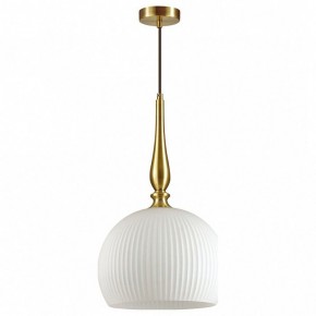 Подвесной светильник Odeon Light Runga 4765/1 в Сургуте - surgut.mebel24.online | фото 2