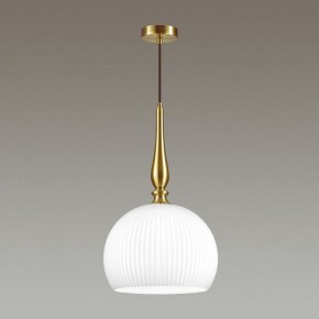 Подвесной светильник Odeon Light Runga 4765/1 в Сургуте - surgut.mebel24.online | фото 4