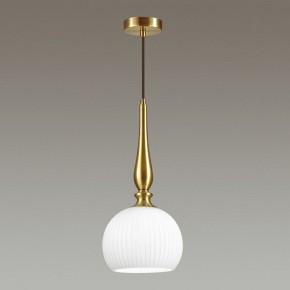 Подвесной светильник Odeon Light Runga 4767/1 в Сургуте - surgut.mebel24.online | фото 4