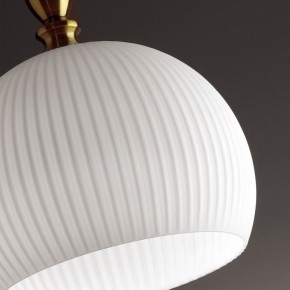 Подвесной светильник Odeon Light Runga 4767/1 в Сургуте - surgut.mebel24.online | фото 8